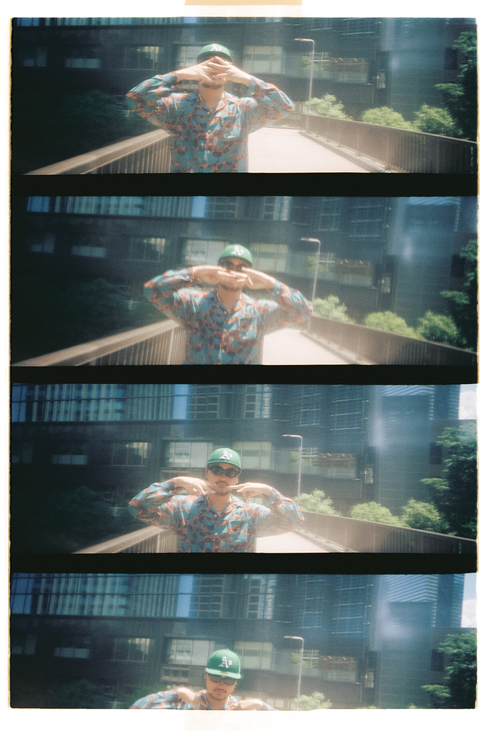 アケガラス・King Boy