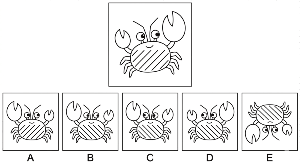 保育実習理論：図を見て答える問題